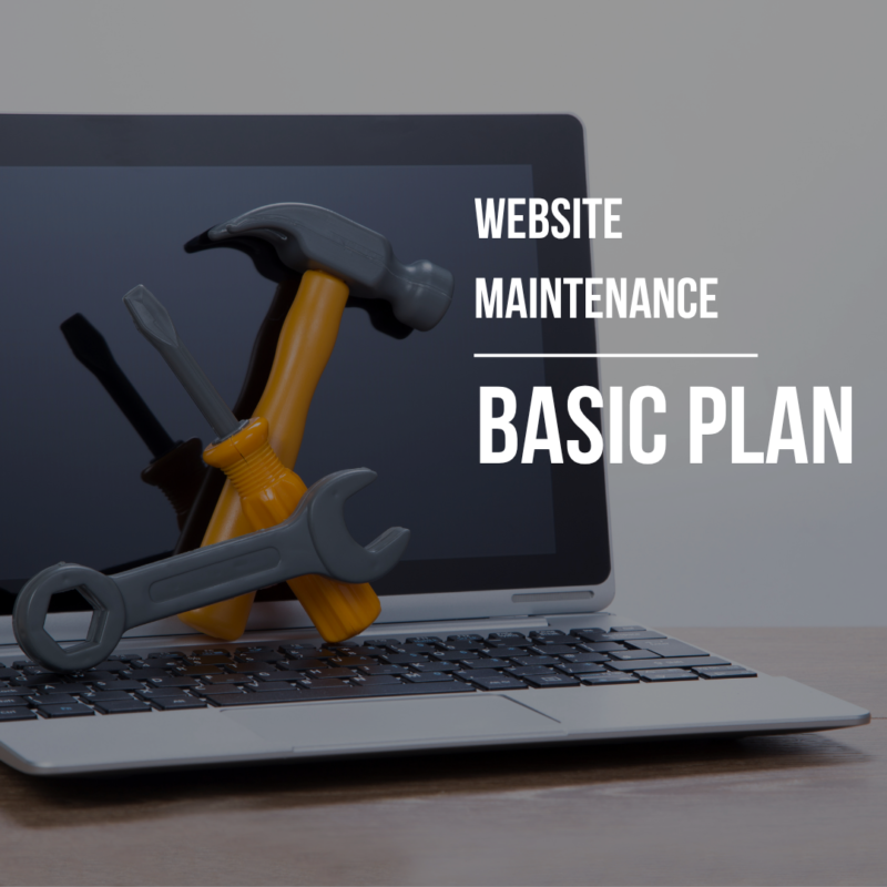 Website Maintenance: Basic Plan