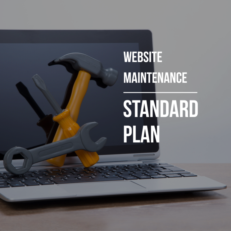 Website Maintenance: Standard Plan